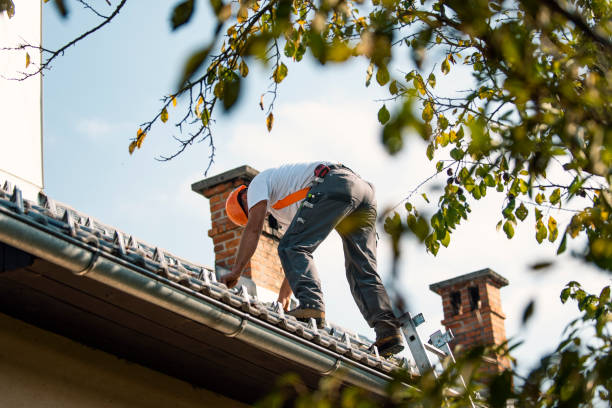 Best Sheet Metal Roofing  in Glenrock, WY